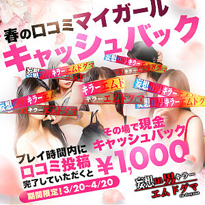 春のマイガール登録・デリヘルタウン口コミ投稿 キャッシュバックイベント開催！